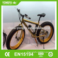 Snow And Beach Fat Electric Bicycle